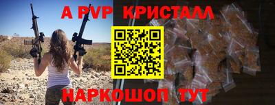 эйфоретик Малгобек