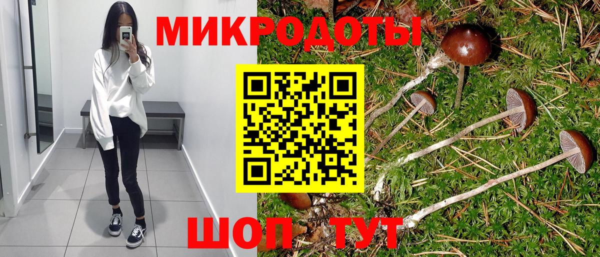 Галлюциногенные грибы Psilocybine cubensis  Вход с VPN  Псилоцибиновые грибы Psilocybe  Дивногорск 