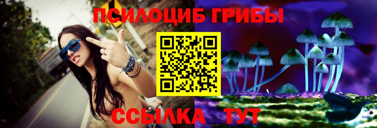Дивногорск  Кокаин  Вход с VPN  Гашиш  Cocaine  Канабис  Вейп ТГК  Бошки Шишки  Меф кристаллы 